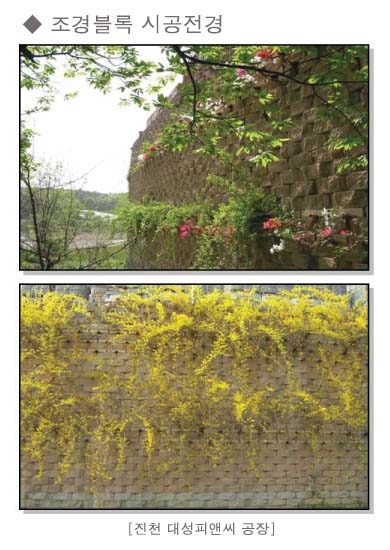 조경블록 시공전경